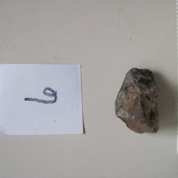 Costa Rican Hot Spring Volcanic Rocks Costa Rica Jungle Volcano Choose Variation - Picture 10 of 16